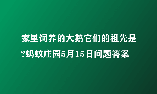 家里饲养的大鹅它们的祖先是?蚂蚁庄园5月15日问题答案