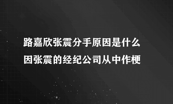 路嘉欣张震分手原因是什么 因张震的经纪公司从中作梗