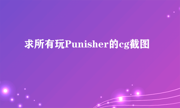 求所有玩Punisher的cg截图