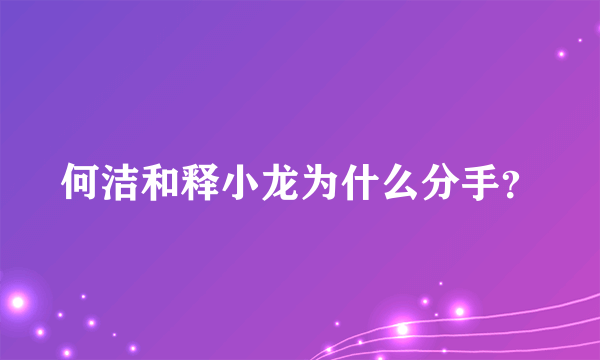 何洁和释小龙为什么分手？