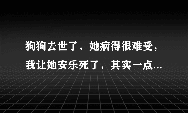 狗狗去世了，她病得很难受，我让她安乐死了，其实一点也不安乐，很痛苦，她会恨我的。