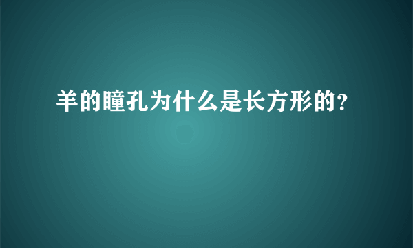 羊的瞳孔为什么是长方形的？