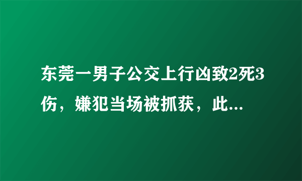 东莞一男子公交上行凶致2死3伤，嫌犯当场被抓获，此事将如何定性？