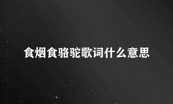 食烟食骆驼歌词什么意思