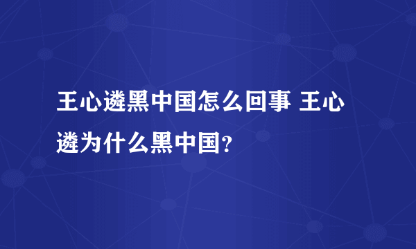 王心遴黑中国怎么回事 王心遴为什么黑中国？