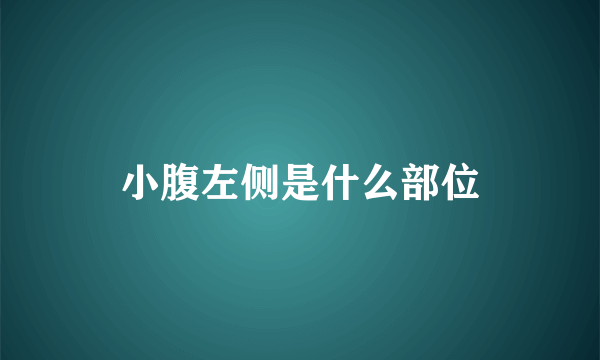 小腹左侧是什么部位