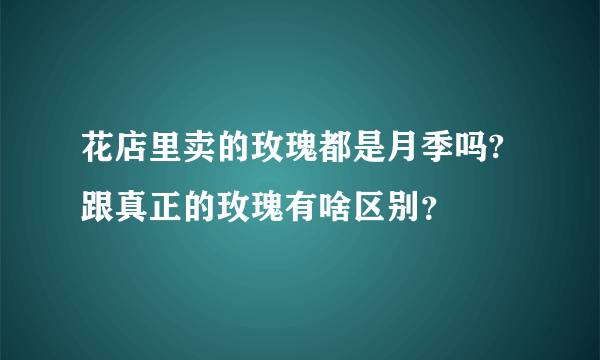 花店里卖的玫瑰都是月季吗?跟真正的玫瑰有啥区别？