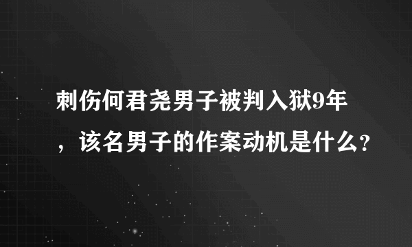 刺伤何君尧男子被判入狱9年，该名男子的作案动机是什么？