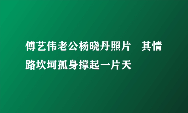 傅艺伟老公杨晓丹照片   其情路坎坷孤身撑起一片天