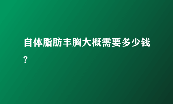 自体脂肪丰胸大概需要多少钱?