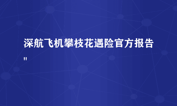 深航飞机攀枝花遇险官方报告