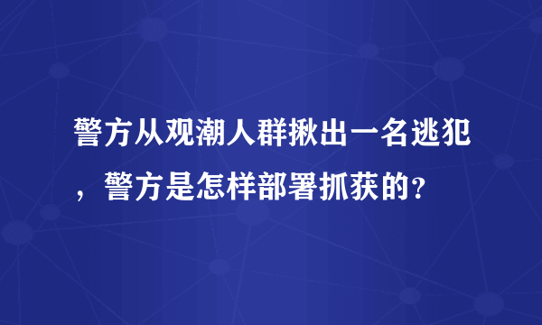 警方从观潮人群揪出一名逃犯，警方是怎样部署抓获的？