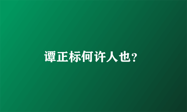 谭正标何许人也？