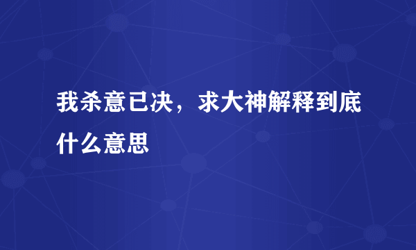 我杀意已决，求大神解释到底什么意思