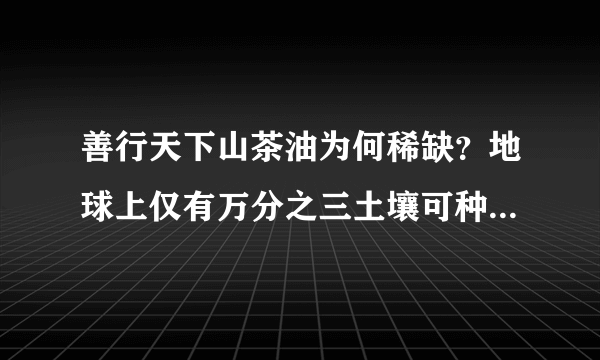 善行天下山茶油为何稀缺？地球上仅有万分之三土壤可种植油茶树