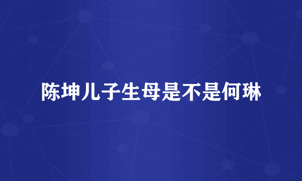 陈坤儿子生母是不是何琳