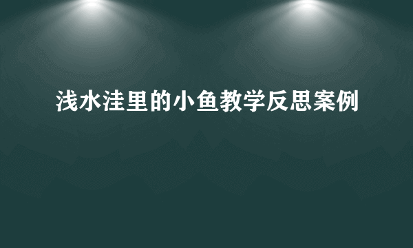 浅水洼里的小鱼教学反思案例