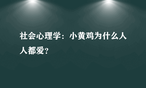 社会心理学：小黄鸡为什么人人都爱？