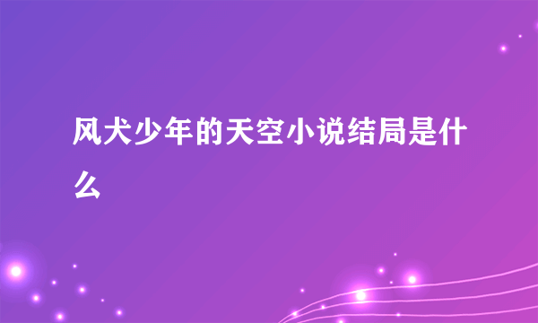 风犬少年的天空小说结局是什么