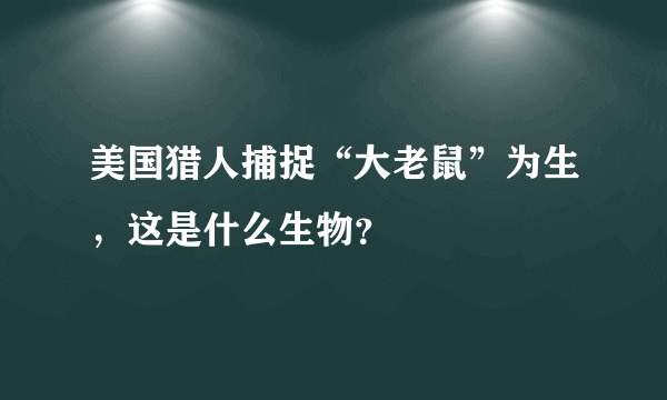 美国猎人捕捉“大老鼠”为生，这是什么生物？