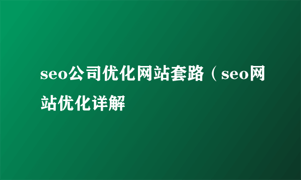 seo公司优化网站套路（seo网站优化详解