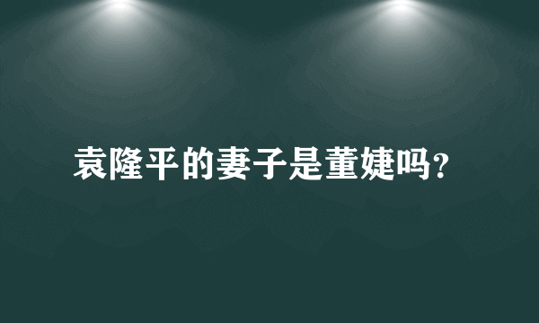 袁隆平的妻子是董婕吗？