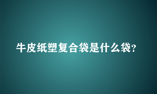 牛皮纸塑复合袋是什么袋？