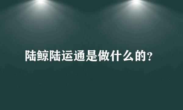 陆鲸陆运通是做什么的？