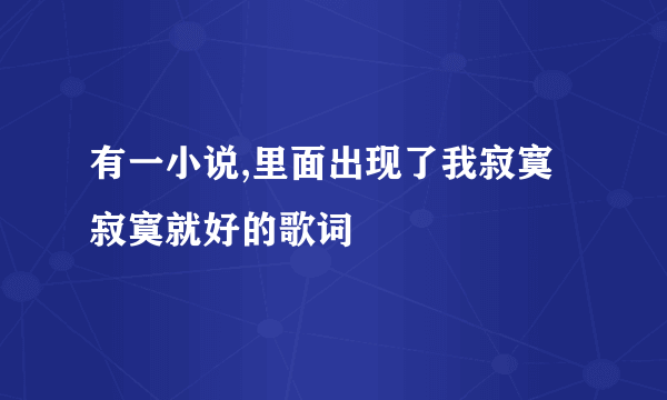 有一小说,里面出现了我寂寞寂寞就好的歌词