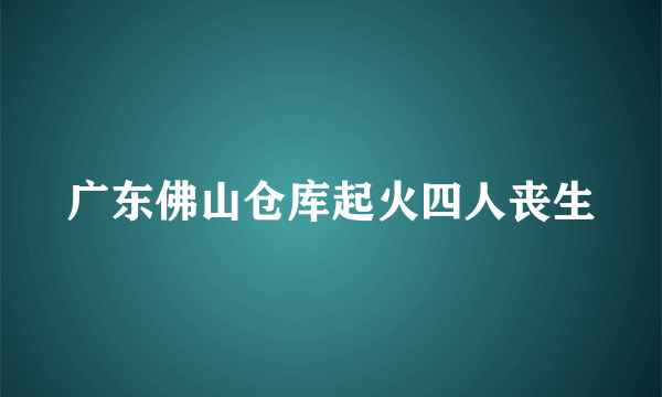 广东佛山仓库起火四人丧生