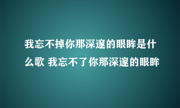 我忘不掉你那深邃的眼眸是什么歌 我忘不了你那深邃的眼眸