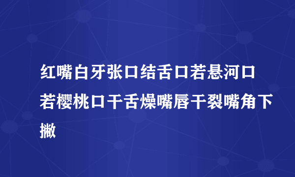 红嘴白牙张口结舌口若悬河口若樱桃口干舌燥嘴唇干裂嘴角下撇