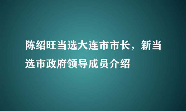 陈绍旺当选大连市市长，新当选市政府领导成员介绍