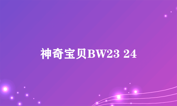 神奇宝贝BW23 24