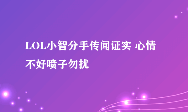 LOL小智分手传闻证实 心情不好喷子勿扰