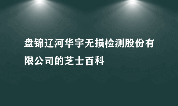 盘锦辽河华宇无损检测股份有限公司的芝士百科