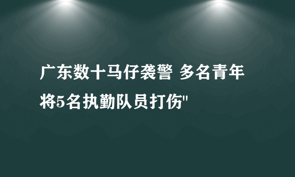 广东数十马仔袭警 多名青年将5名执勤队员打伤