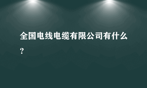 全国电线电缆有限公司有什么？