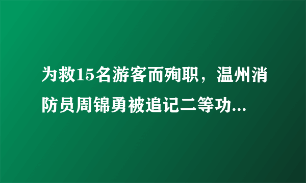 为救15名游客而殉职，温州消防员周锦勇被追记二等功, 你怎么看？