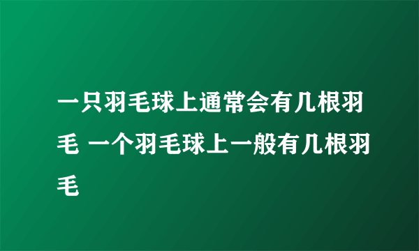 一只羽毛球上通常会有几根羽毛 一个羽毛球上一般有几根羽毛