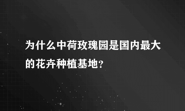 为什么中荷玫瑰园是国内最大的花卉种植基地？