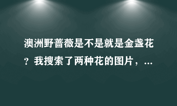 澳洲野蔷薇是不是就是金盏花？我搜索了两种花的图片，蛮像的，只是澳洲野蔷薇的花色是紫色。