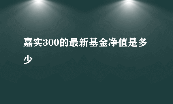 嘉实300的最新基金净值是多少