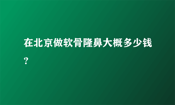 在北京做软骨隆鼻大概多少钱？