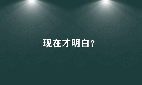 现在才明白？