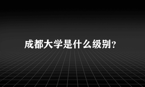 成都大学是什么级别？