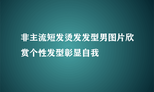 非主流短发烫发发型男图片欣赏个性发型彰显自我