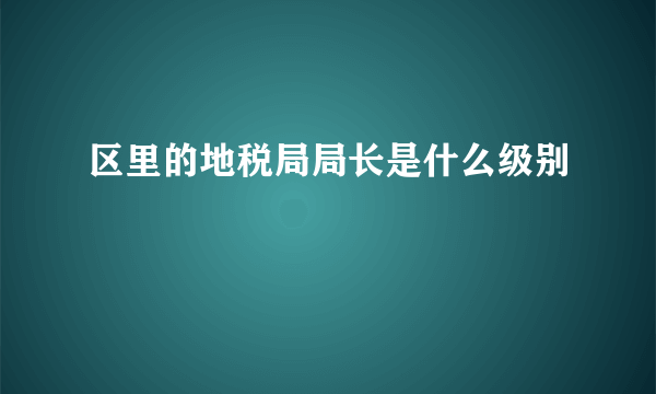 区里的地税局局长是什么级别