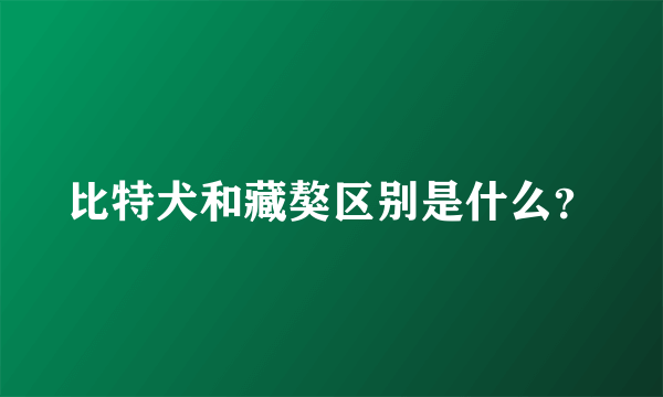 比特犬和藏獒区别是什么？