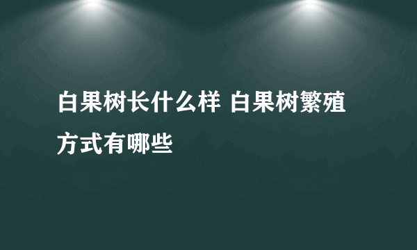 白果树长什么样 白果树繁殖方式有哪些